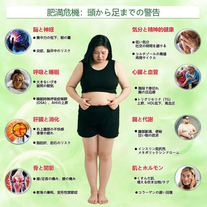 ⚽⚽⚽内臓脂肪対策サポート 👨‍⚕️👩‍⚕️GeeLemon®＆NAD+ 8-in-1 ナノ強化フォーミュラ — 肥満、肌のたるみ、糖尿病、睡眠時無呼吸症候群、関節の悩み、その他健康上の懸念にアプローチ🛍️